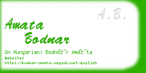 amata bodnar business card